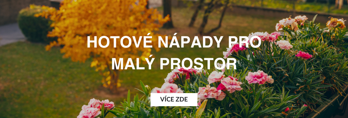 banner CZ desktop (13)